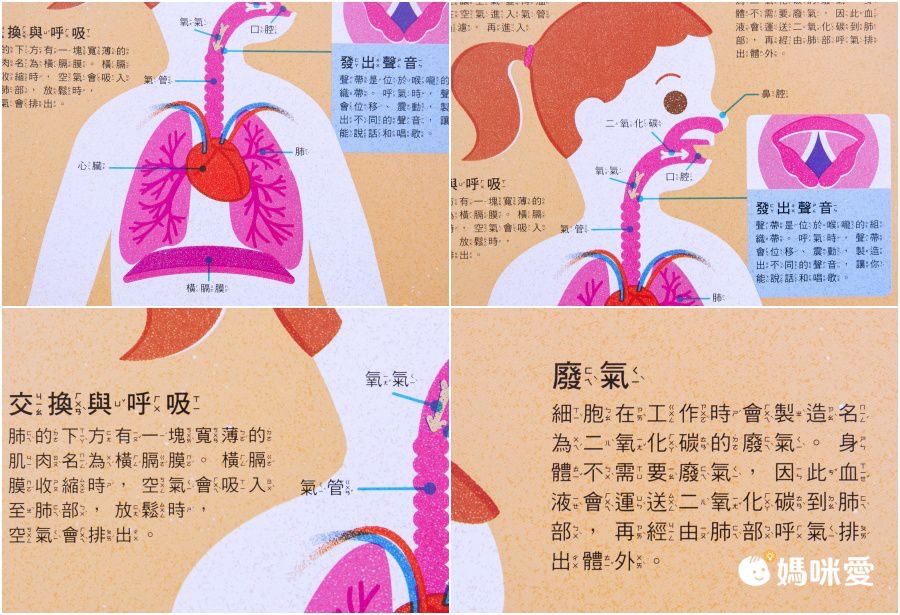 【知識放大鏡】交通工具：探索陸海空運輸工具的運轉奧祕
