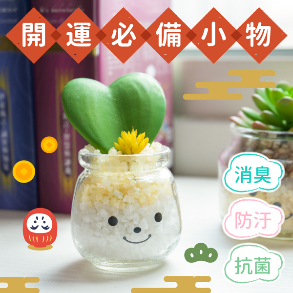 開運小物 ✿ CT觸媒加工 超仿真療癒植栽