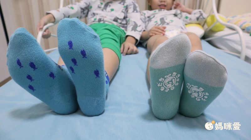 日本 aehwa - 地球的朋友 印花大人襪(媽媽)-花園鰻-水藍 (23~25cm)