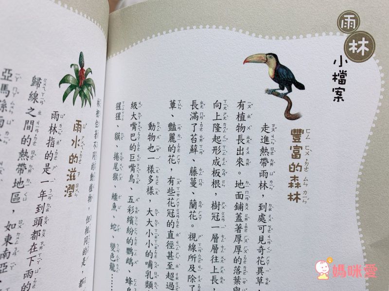神奇樹屋中英雙語套書 1-55集-大全套