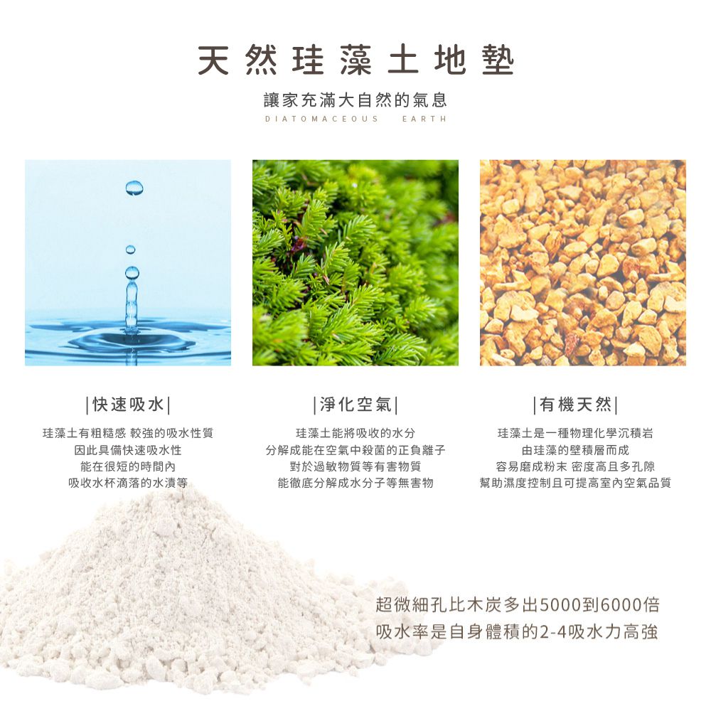 迪士尼 Disney【跳躍奇奇蒂蒂】 珪藻土軟式吸水地墊 浴室地墊 腳踏墊 吸水墊60X40X0.5cm