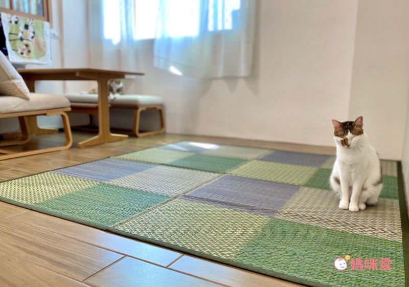 日本池彥 - 藺草編抗菌除臭濕度調節 地毯/地墊-撞色線條-深綠色系 (176x176cm)