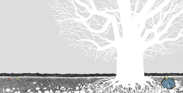 青林國際出版 - 樹木之歌