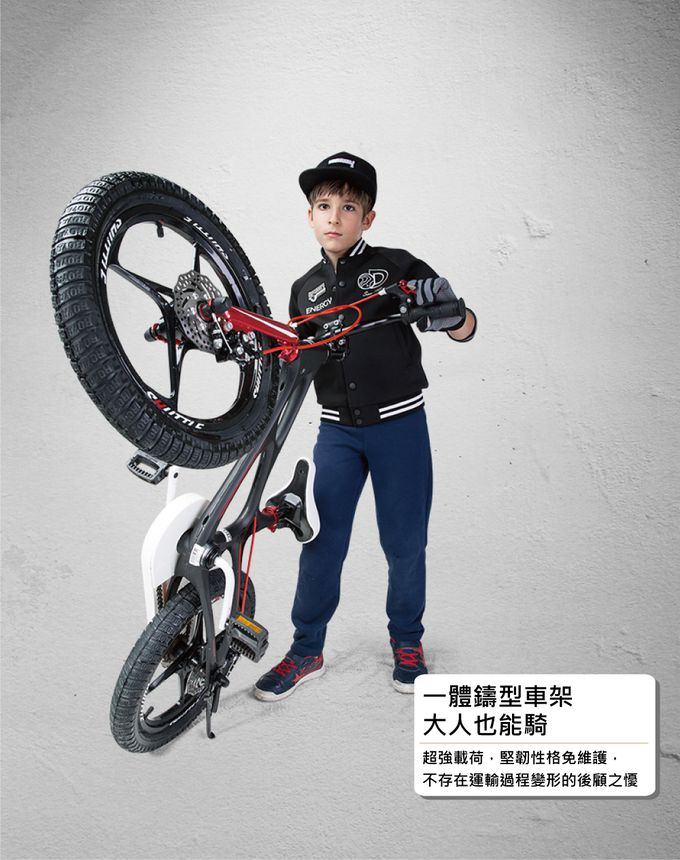 Royalbaby - 14吋星際兒童腳踏車(送打氣筒)-紫色