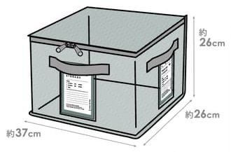 日本代購 - [日本主婦推薦] 半透明多功能衣物收納袋(可肩背/手提) 3入組-淺灰 (L(47x20x36cm))