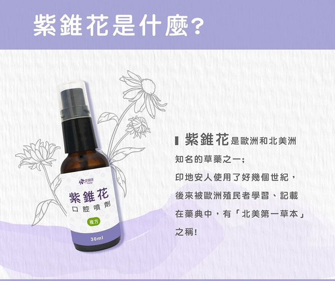 花賜康 - 紫錐花複方噴劑-30ml-1入組