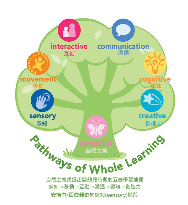 美國 green sprouts - 小綠芽寶寶安全有機棉玩具-綠青蛙