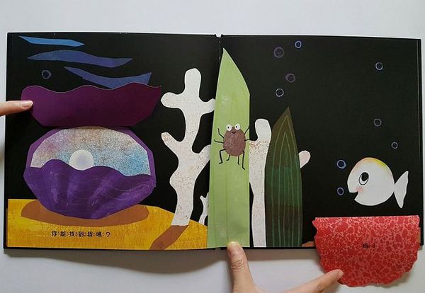 跟小白魚一起玩躲貓貓