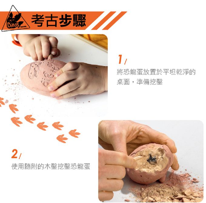 德國 Moses - 小小考古-恐龍蛋化石-6款隨機出貨