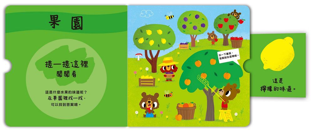 禾流文創 - 寶貝聞聞看找一找3本一套-世界各地的味道+這是什麼東西的味道？+這是什麼水果的味道？