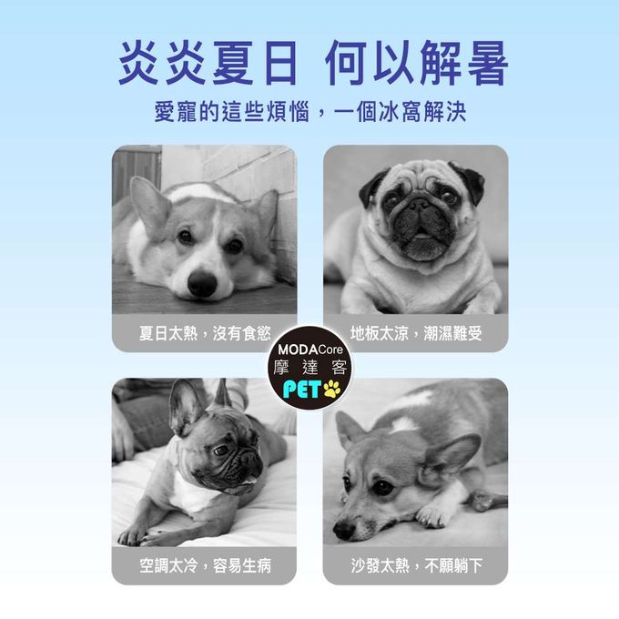 MODACore 摩達客 - 【摩達客寵物】冰爽升級消暑冰涼墊(超萌小柯基M號)-夏日解暑首選熱銷品 (M)