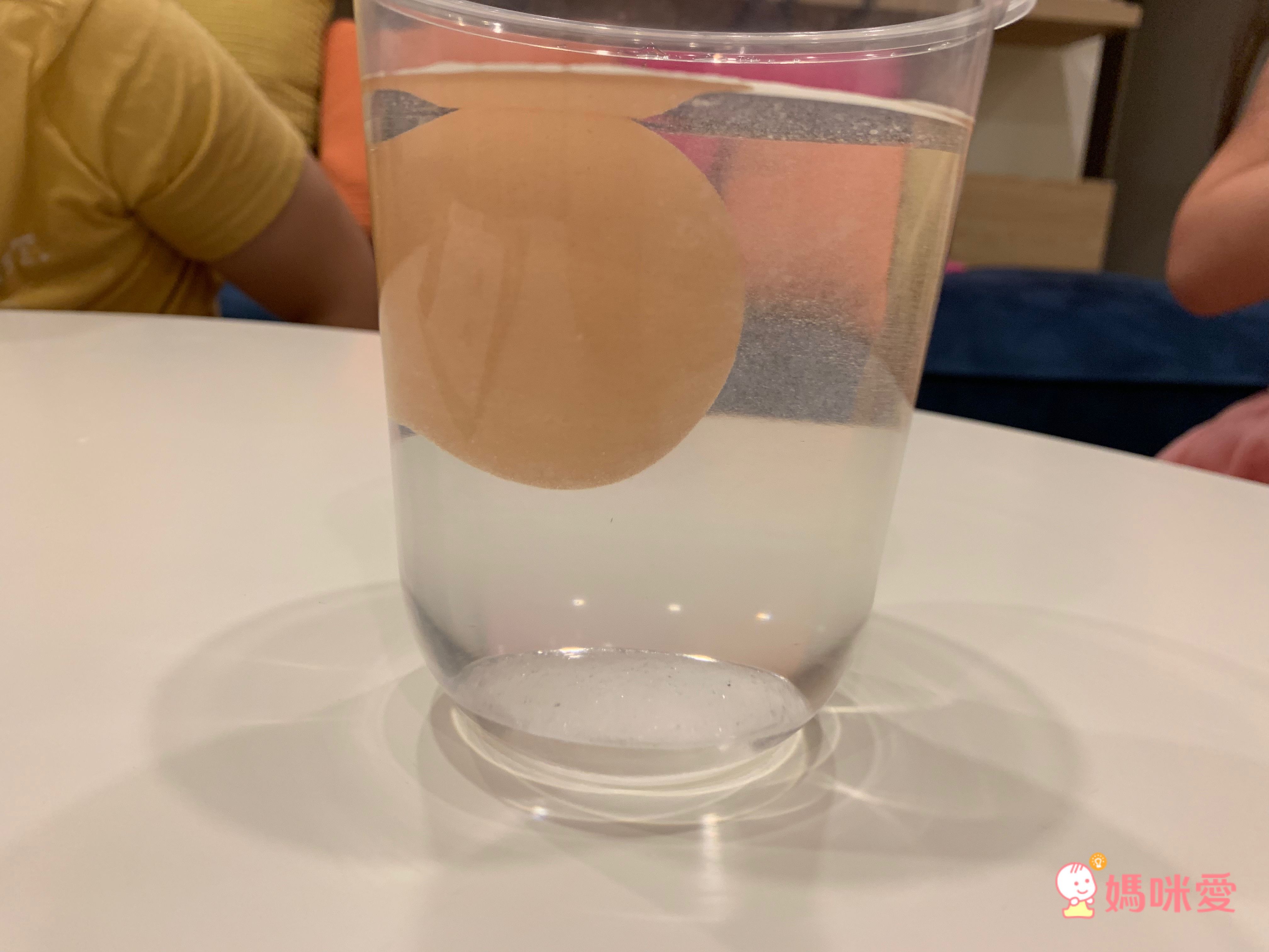 小牛頓科學教育有限公司 - 故事中的科學套書-平裝-全彩 (6-12歲)-全套四冊