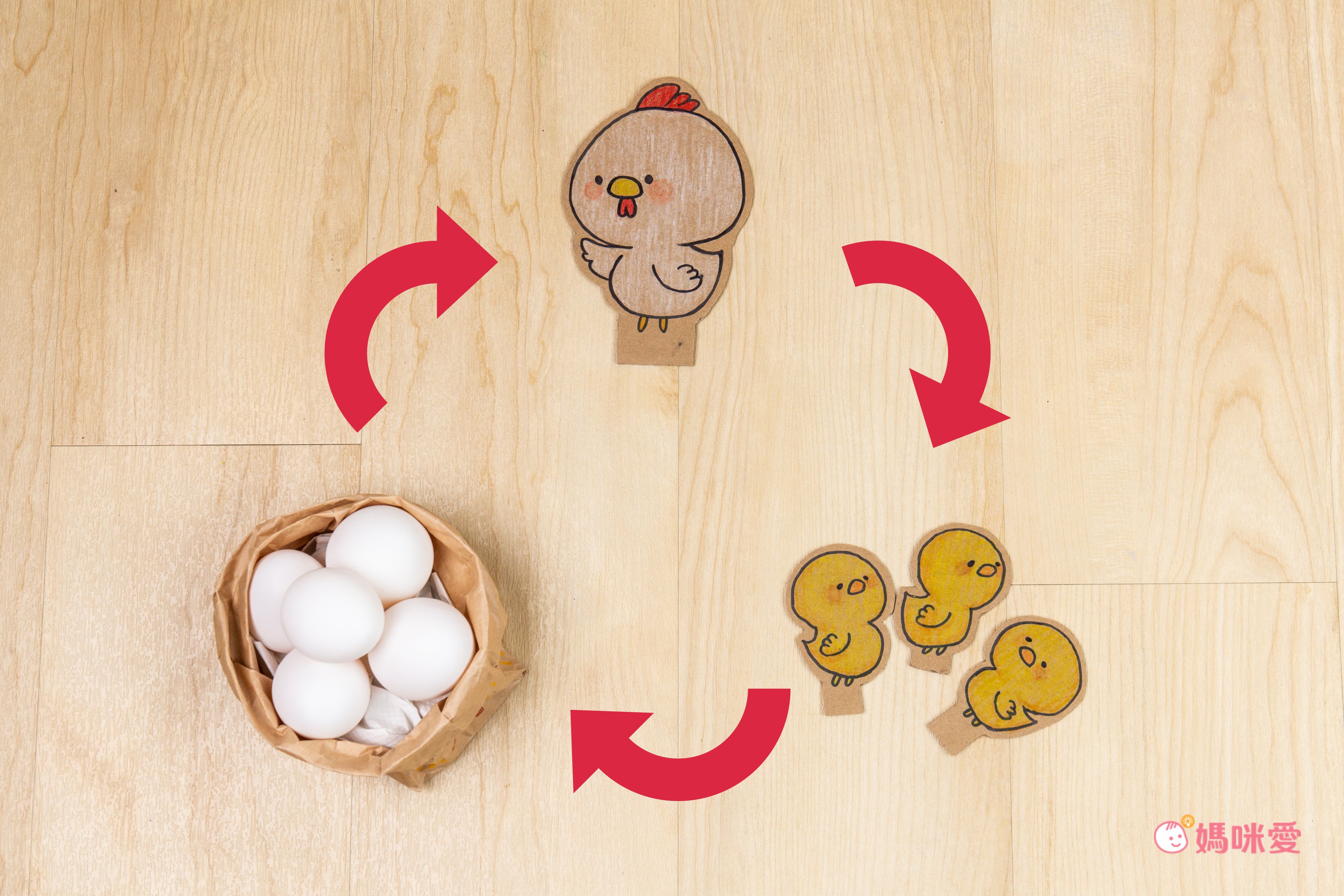 超激推5in1感官盆【韓國POKI趣玩盆】啟發創意力