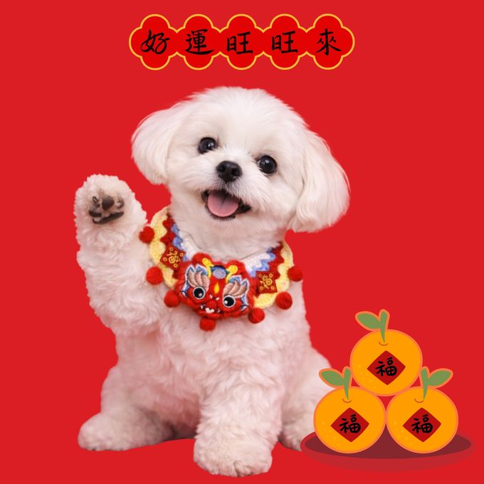 love, charlotte - 新年喜氣龍馬精神寵物圍脖項圈 - 祥龍款 - (脖圍(45cm內))