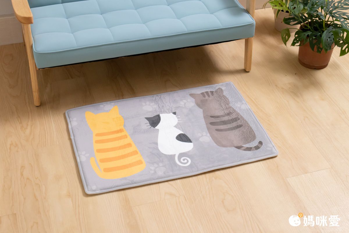 科技絨地墊 / 腳踏墊 ♡ 防油污防水又防滑