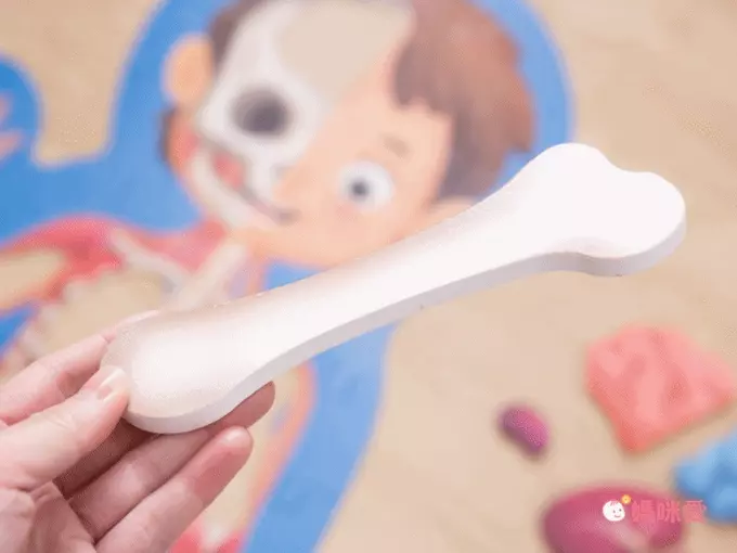 解鎖人體奧秘！小小孩好上手【德國 HAPE】人體拼圖