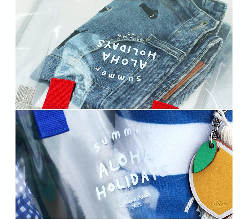 韓國製 - 雙色透明防水包-藍X黃 (35.5X28X15cm)