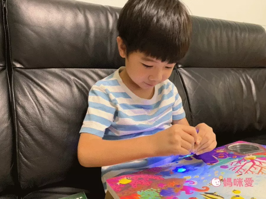 【禾流文創】拿起手電筒，來場夜間探險！『Spotlight！夜遊系列』