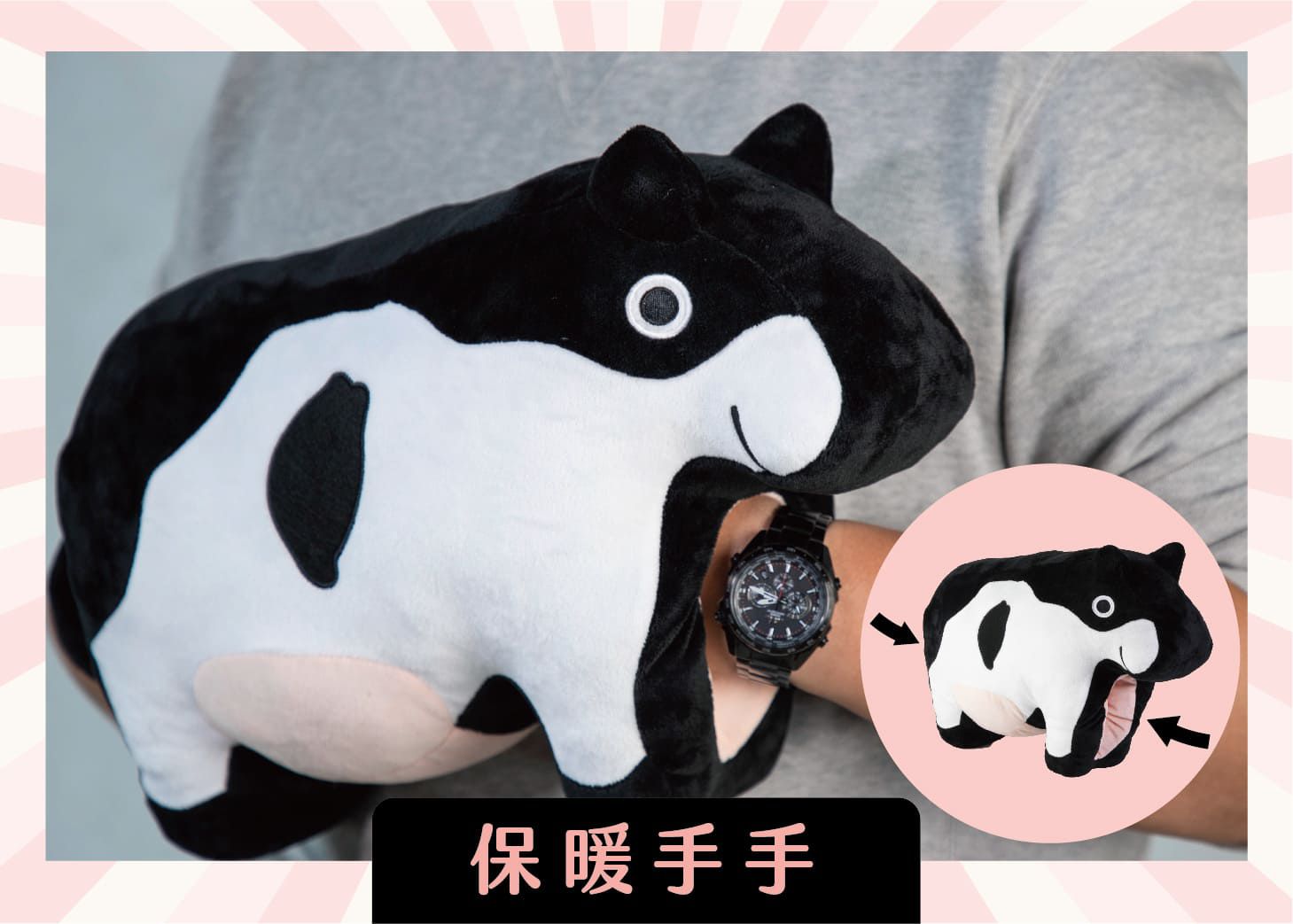 限時優惠！【鮮乳坊 A2β酪蛋白鮮乳】獸醫把關，貼近母乳好吸收