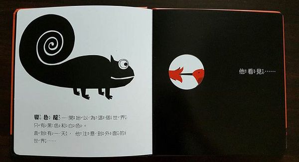 變色龍探索世界的顏色