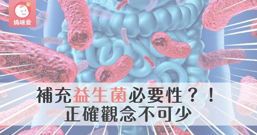 孩子補充益生菌的必要性？！｜正確觀念不可少
