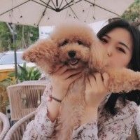 用戶頭像