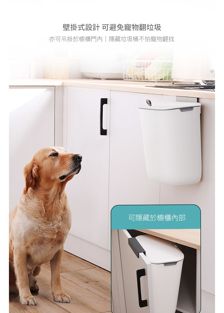 美國 NINESTARS - 免彎腰廚房櫥櫃無痕壁掛滑蓋式垃圾桶 (9L)