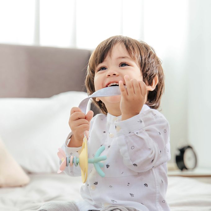 VIIDA - Cyndi 魔法森林固齒器