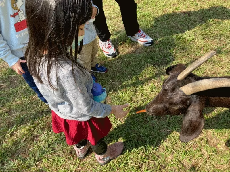 4.9折↘【名都觀光渡假大飯店】再送價值二千元「築夢森居」