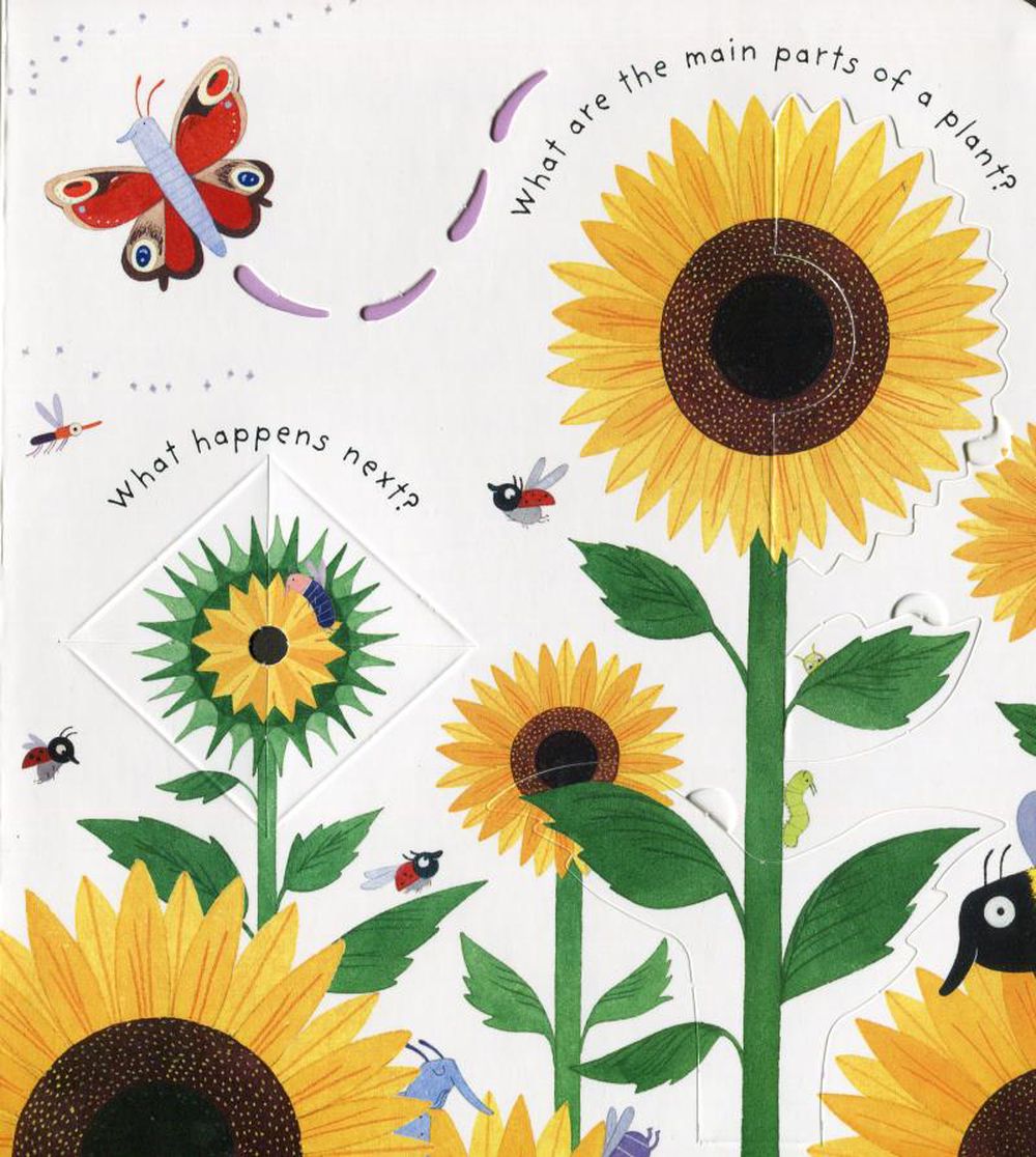 Lift-the-Flap First Questions & Answers: How do flowers grow ? 花的生長秘密（翻翻書）