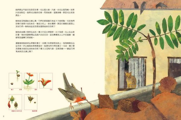 一顆種子的旅行