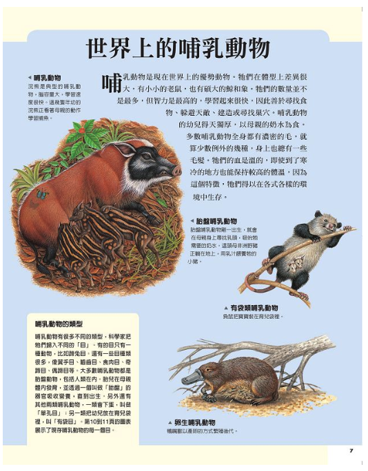 國家地理：哺乳動物圖鑑 (精裝 /93頁 /全彩印刷)