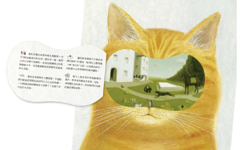 動物眼中的世界