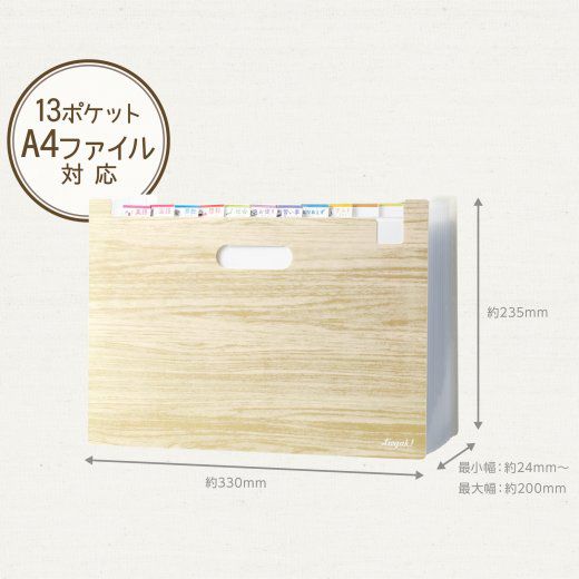 日本文具 SONIC - 多功能學習用分類整理盒 (33x23.5x2.4cm)