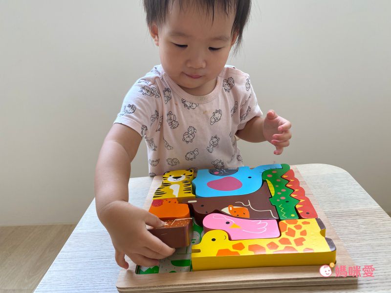 益智學習【英國 Le Toy Van、澳洲 Kiddie Connect】啟蒙教具