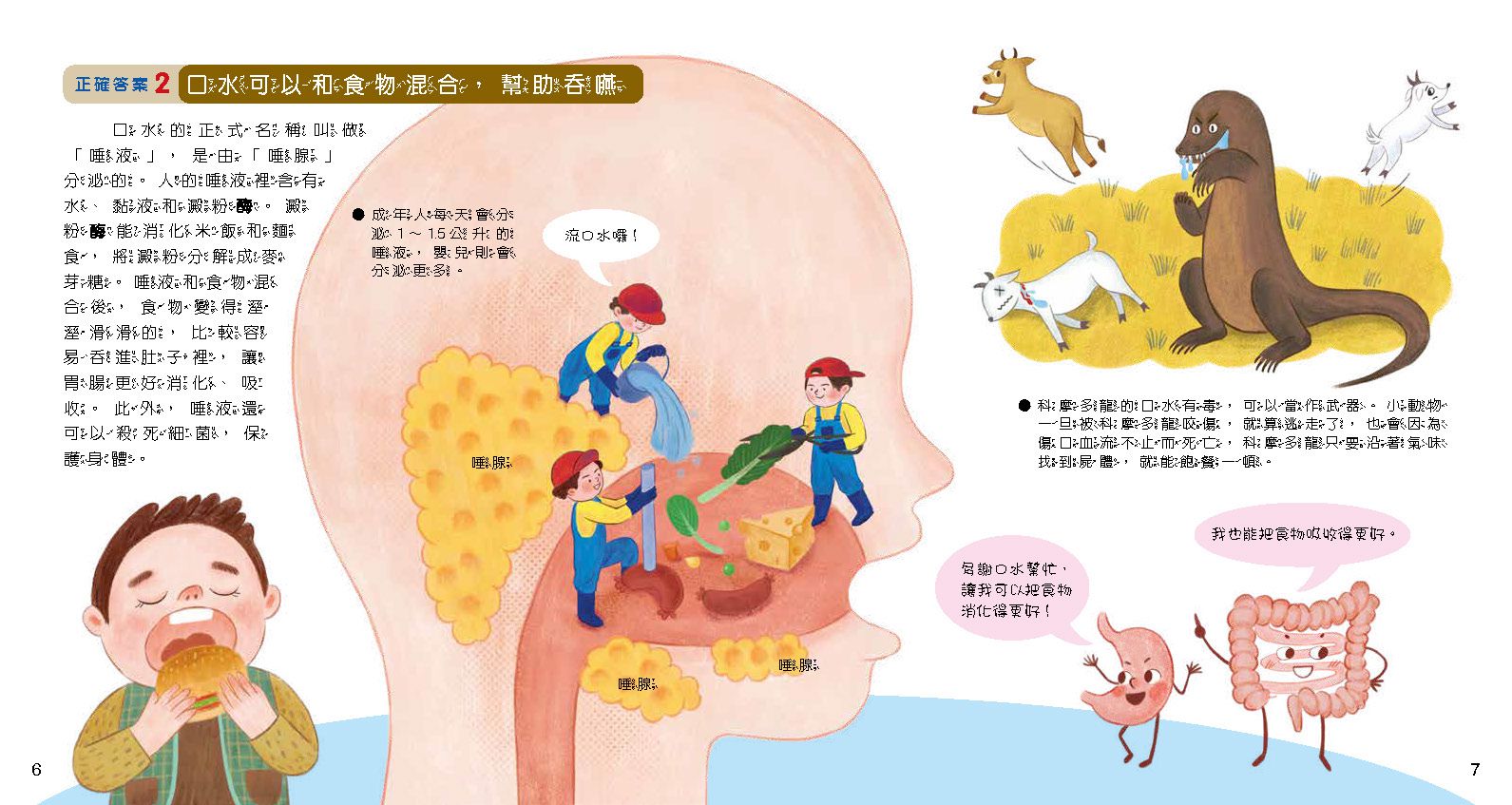 小牛頓科學教育有限公司 - WOW原來是這樣-56頁/22.6 x 24 cm/附注音-全彩-平裝