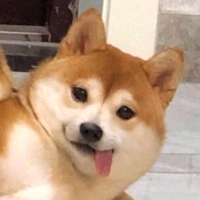 用戶頭像