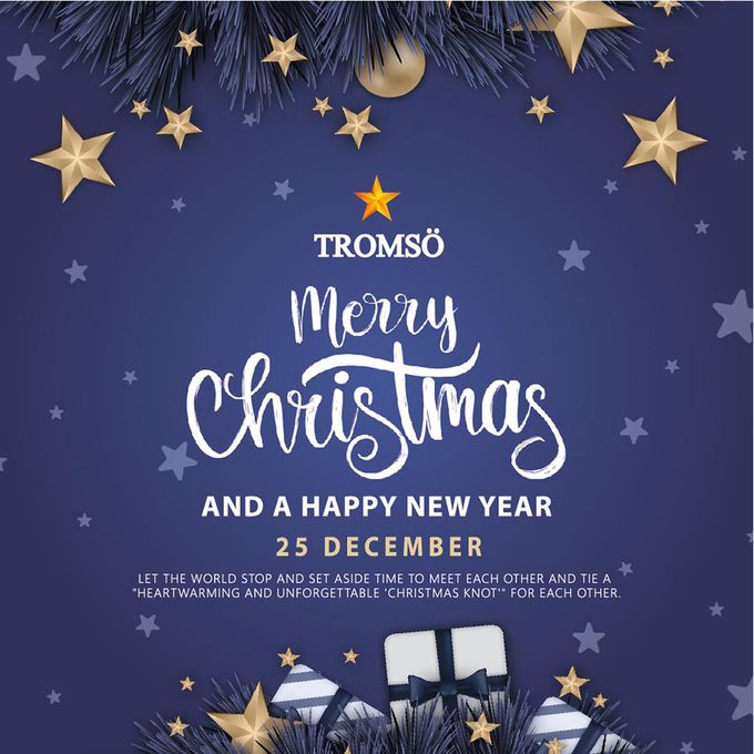 TROMSO - 北歐絕美聖誕樹-奢華玫瑰金 (180cm)