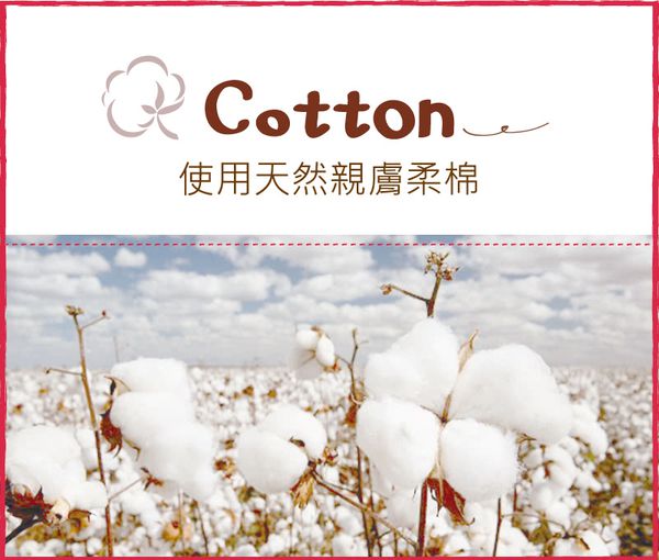 【貝柔 運動機能襪/親子襪】平價、耐穿、抗菌