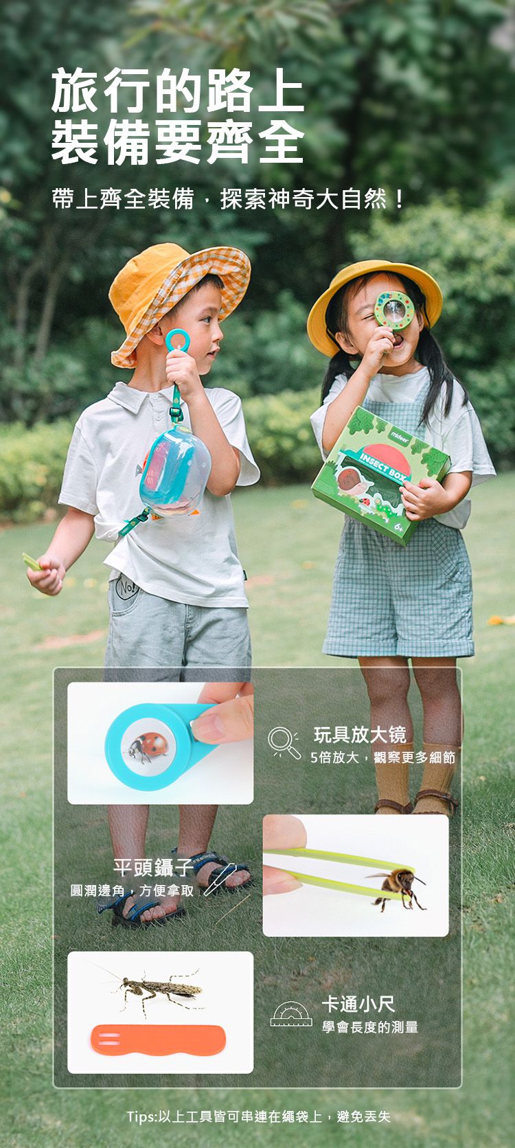 MiDeer - 昆蟲觀察盒