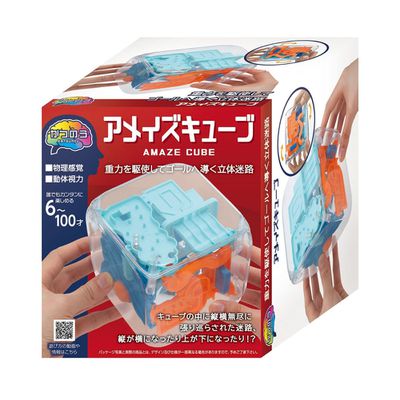 日本 HANAYAMA - 腦力開發系列-3D立體迷宮