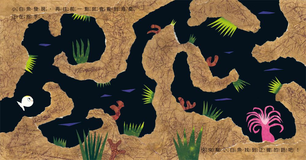 小白魚的好奇心（感官認知）