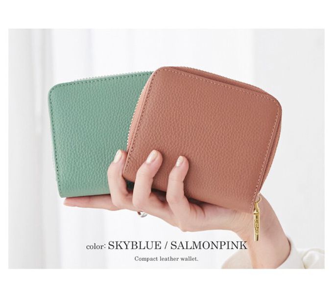 日本 LIZDAYS - 真皮16格摺疊短夾/零錢包-深棕 (11x9.5x3.5cm)