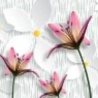 用戶頭像