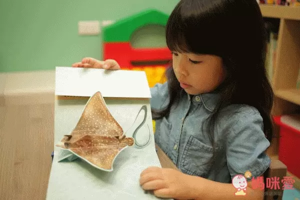 國家地理立體書 系列