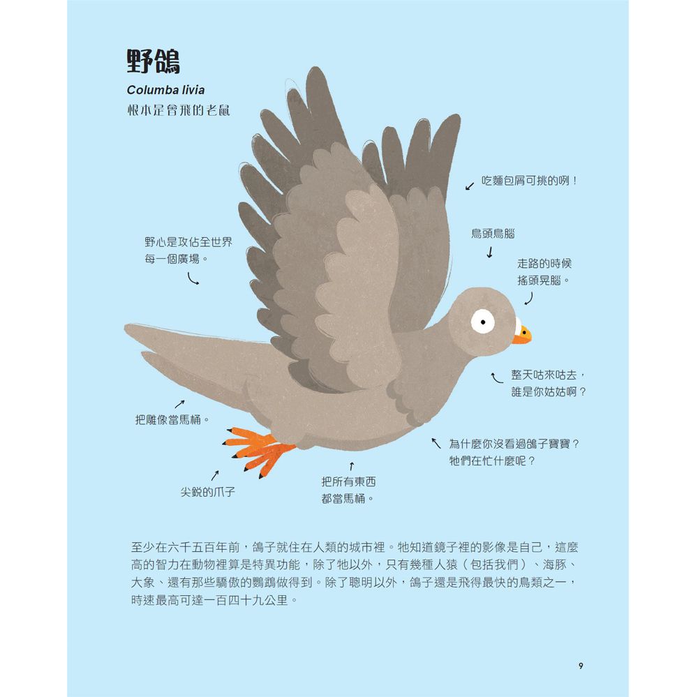 不可思議動物大集合-精裝