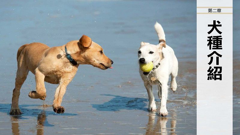 終極狗百科 (精裝 / 352頁/全彩印刷)