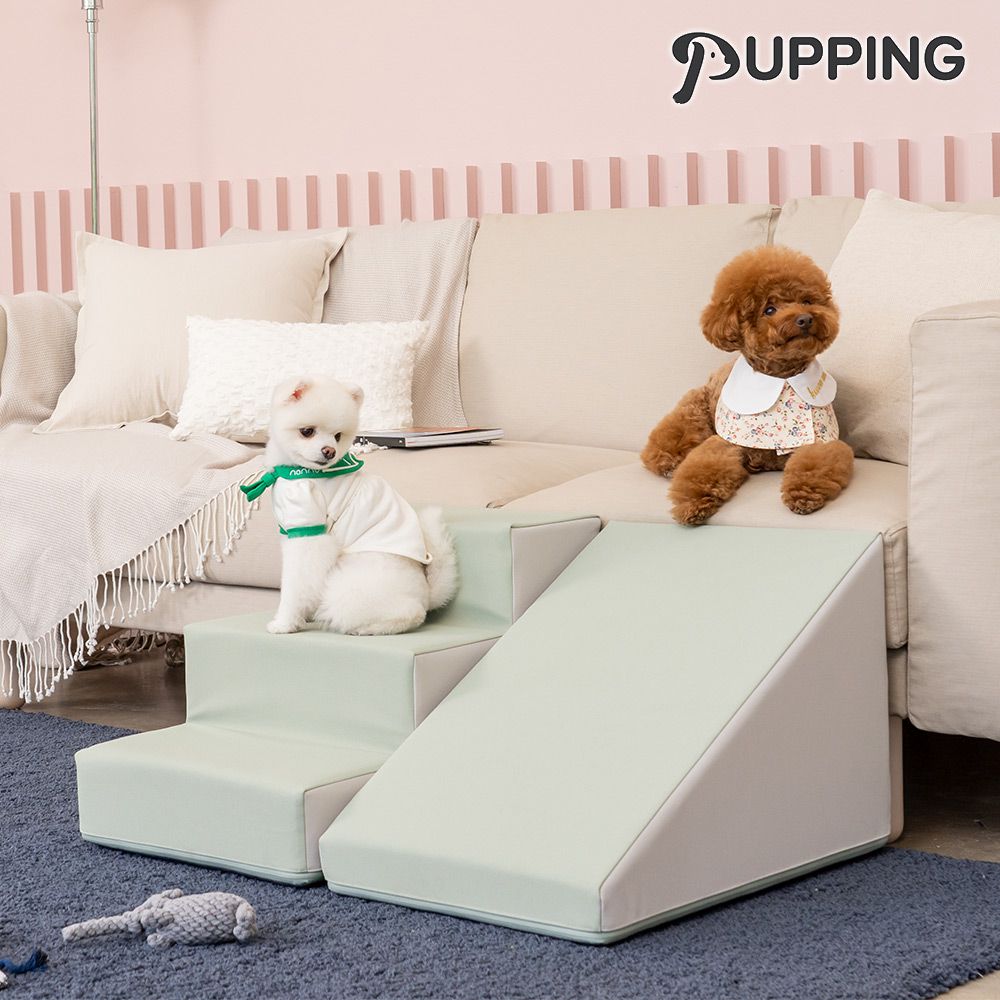 韓國寵物防滑斜坡 - 草綠色