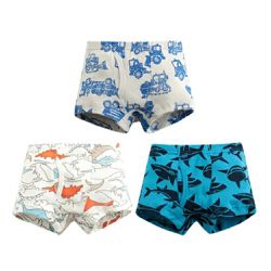 日本 Ho-ho kids - [人氣No.1]純棉透氣男孩內褲(3入)-車車/恐龍/鯊魚-灰白藍