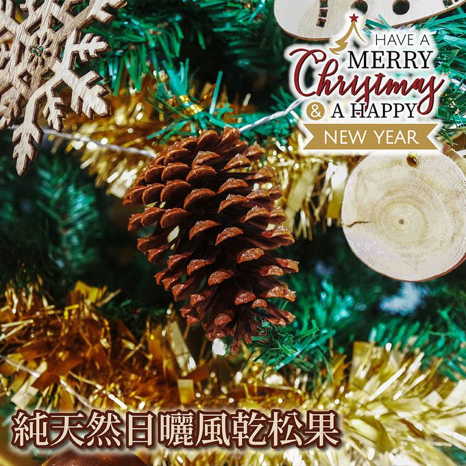 TROMSO - 北歐絕美聖誕樹-挪威松果森林 (210cm)